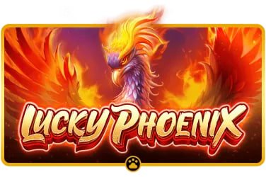 b1 bet casino